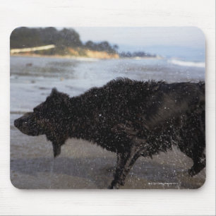 Santa Barbara, Kalifornien, USA Mousepad