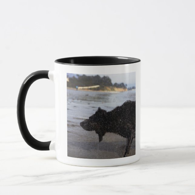 Santa Barbara, Kalifornien, USA Tasse (Links)