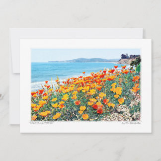 Santa Barbara Poppies Feiertagskarte