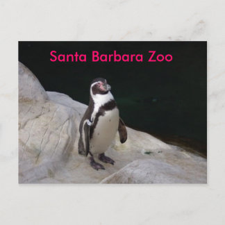 Santa Barbara Zoo Postkarte