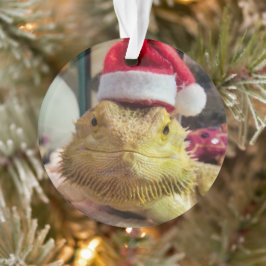 Santa Bubbs Acrylschmuck Ornament