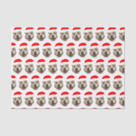 Santa Buddy Seidenpapier
