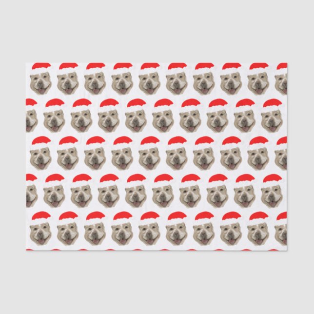 Santa Buddy Seidenpapier (Vorderseite)
