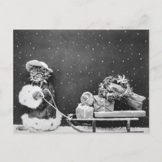 Santa Cat, eine Katze des Weihnachtsmanns Postkarte
