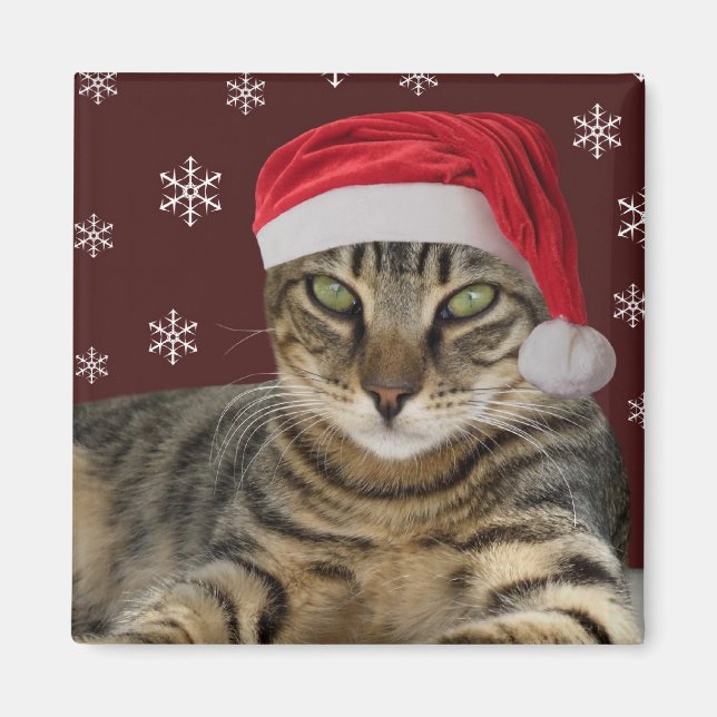 Santa Cat Magnet (Vorne)
