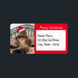 Santa Cat Merry Christmas Address Labels Adressaufkleber<br><div class="desc">Diese Weihnachtsadressen zeigen unsere sehr große Katze namens Kimber. Kimber trägt eine Weihnachtsmannmütze mit den Worten "Ho ho ho, " darauf. Kimber hat einen peinlichen Gesichtsausdruck und ein Lächeln auf den Lippen. Seine Beine sind breit, seine großen Füße stehen auf beiden Seiten und sein langer, flauschiger Schwanz ist vor ihm...</div>