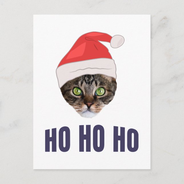 Santa Cat mit Weihnachtsmannmütze, Ho Ho Ho, Einla Postkarte (Vorderseite)