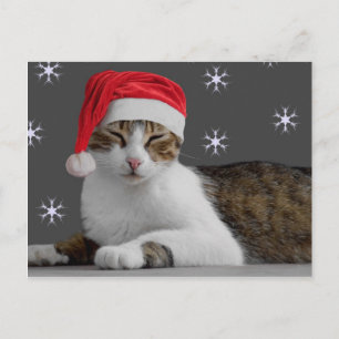 Santa Cat Postcard Feiertagspostkarte