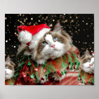 Santa Cat