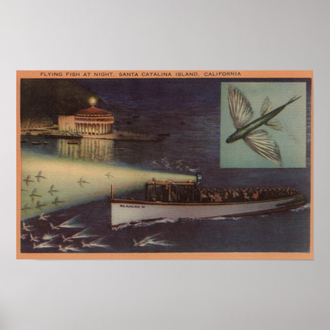 Santa Catalina Island, CA Casino, Fliegender Fisch Poster (Vorne)