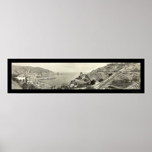 Santa Catalina Island Foto 1914 Poster (Vorne)