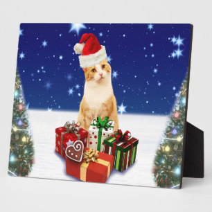 Santa Claus Cat with Christmas Gift Fotoplatte