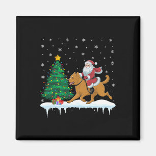 Santa Claus Riding Briard Dog Boys Girls Kinder Ch Magnet