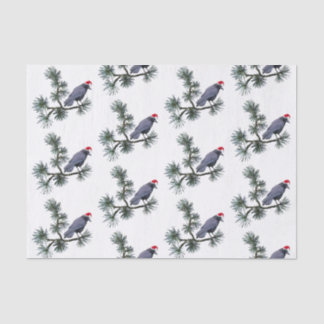 Santa Crow dans du papier de soie en pin