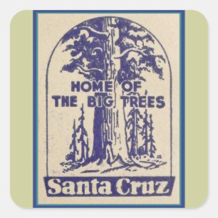 Santa Cruz California - Zuhause der großen Bäume Quadratischer Aufkleber