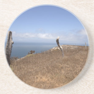 Santa Cruz Island Series 3 Getränkeuntersetzer