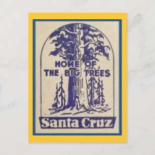 Santa Cruz Kalifornien - Heimat der großen Bäume Postkarte
