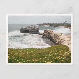 Santa Cruz Natural Bridges Kalifornien Wildblumen Postkarte