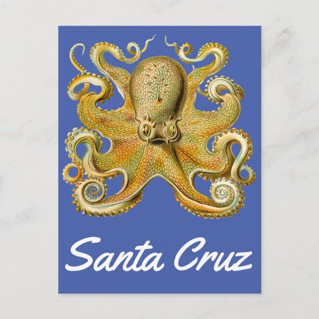 Santa Cruz Vintag Octopus Postkarte (Vorderseite)