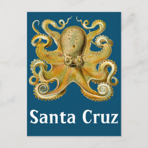 Santa Cruz Vintage-Oktopus Postkarte