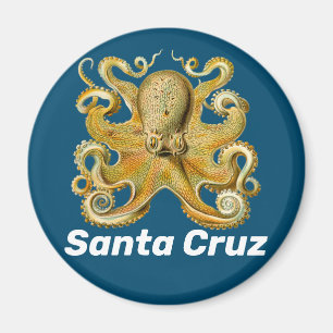 Santa- CruzKühlschrankmagnet Magnet