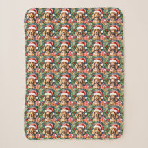 Santa Dackel und Evergreens: