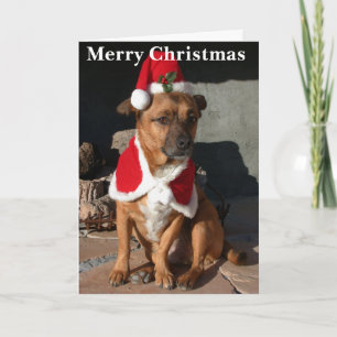 Santa Dog Feiertagskarte