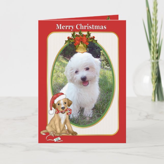 Santa Dog Foto Gruß Feiertagskarte (Vorderseite)