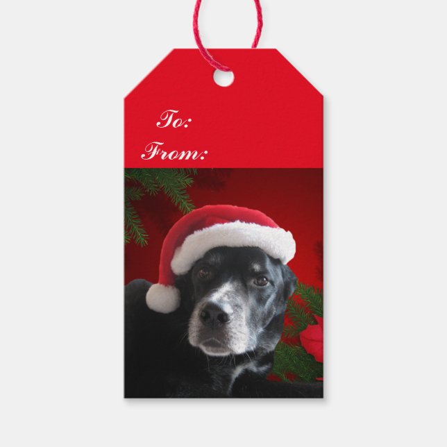 Santa Dog Labrador/Rottweiler mit Ferienuntergrund Geschenkanhänger (Vorderseite)