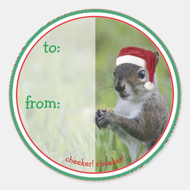 Santa Eichhörnchen kommt zu Weihnachten in die Sta Runder Aufkleber (Vorderseite)