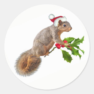 Santa Eichhörnchen mit Holly Christmas Stickers