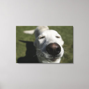 Santa Fe, New Mexico Leinwanddruck