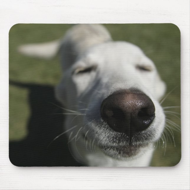 Santa Fe, New Mexico Mousepad (Vorne)