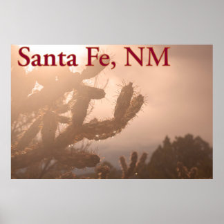 Santa Fe Serenity: Cholla Cactus at Sunset Poster