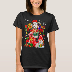 Santa Goat Inside Xmas Sock mit Geschenken Niedlic T-Shirt