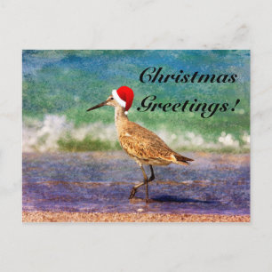Santa Hat Bird sur la carte de Noël Tropical Beach