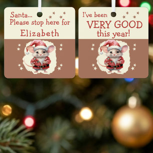 Santa hier anhalten Name süße Maus braun Ornament Aus Metall