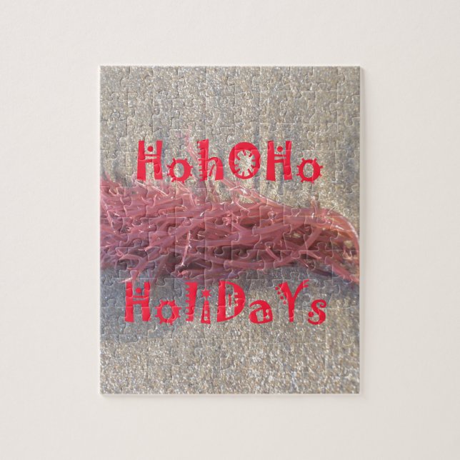 Santa HoHoHo Frohe Weihnachten aus den Farben am S (Vertikal)