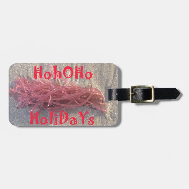 Santa HoHoHo Frohe Weihnachten aus den Farben am S Gepäckanhänger (Vorderseite horizontal)