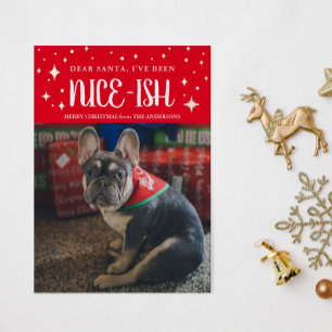 Santa, ich war die Nice-Ish Pet Foil Holiday Card Folien Feiertagskarte