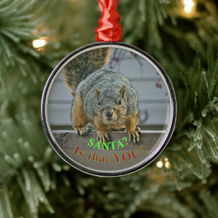 "SANTA, IST DAS DU?" BREITE - MIT AUGEN SQUIRREL O ORNAMENT AUS METALL