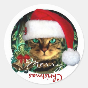 Santa Katze Frohe Weihnachten Aufkleber