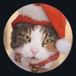 Santa Kitty | Christmas Pookie der Katze Runder Aufkleber<br><div class="desc">Genießen Sie ein Meowy Weihnachten mit diesen niedlichen Aufklebern, die Pookie die Katze zeigen, und schauen nur ein bisschen verärgert durch die Tatsache, dass jemand sie in eine kleine Weihnachtsmannmütze gelegt hat. Ihr Ausdruck scheint "Bah, humbug!" zu sagen, aber ihr werdet nichts anderes tun können als lächeln. Vergnügen und feierlich,...</div>