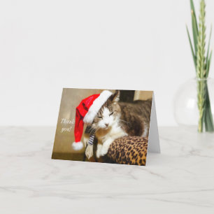 Santa Kitty Painterly Dankeschön-Karte Feiertagskarte