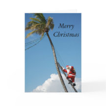 Santa Kletterpalme sonnige Florida
