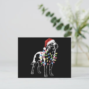Santa Labrador Retriever Christmas Light Hund Love Feiertagspostkarte