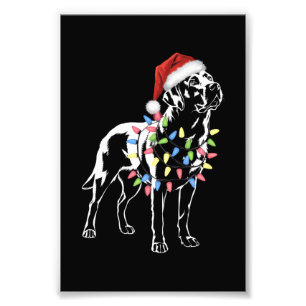 Santa Labrador Retriever Christmas Light Hund Love Fotodruck
