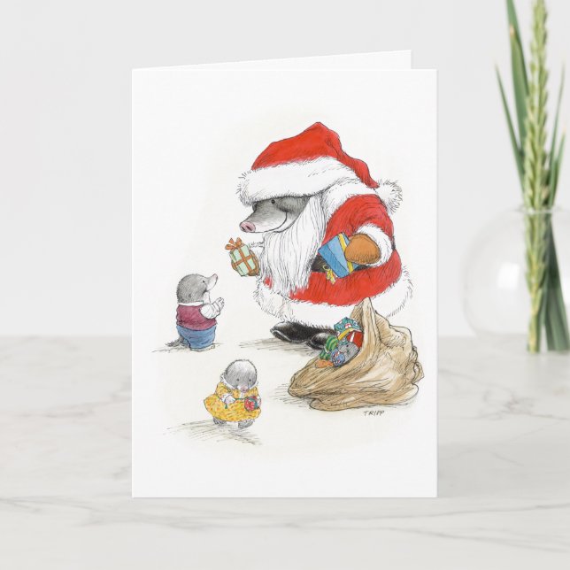 Santa Mole offre une carte cadeau (Devant)