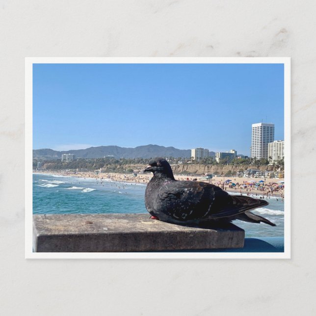 Santa Monica, CA Postkarte (Vorderseite)