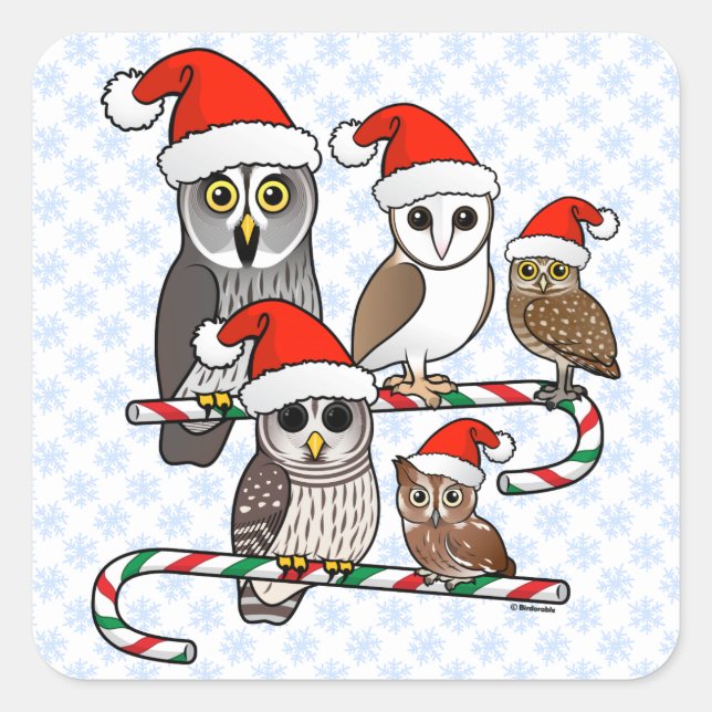Santa Owls Quadratischer Aufkleber (Vorderseite)